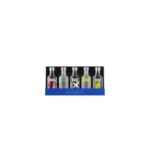 Absolut Five Collection 5 x 0,05 l