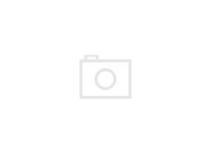 Fuji Single Malt 46 % 0,7 l