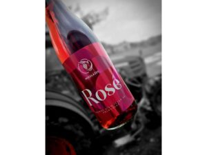 Sevar rosé polosuché 2023